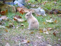 jura_le_18_002