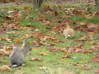 jura_le_19_036
