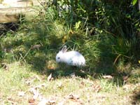 jura_le_19_037