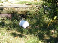 jura_le_19_038